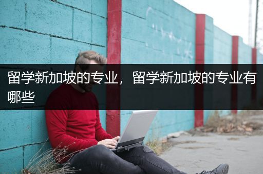 留学新加坡的专业，留学新加坡的专业有哪些